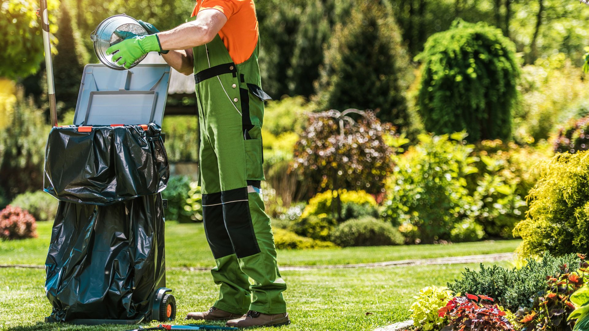Gardener in green overalls collecting yard waste in black garbage bag